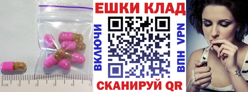 гидра ССЫЛКА  Сокол  Ecstasy ешки 