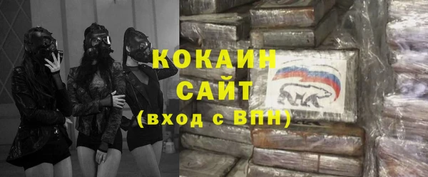 соль ск Лиски