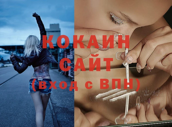 PSILOCYBIN Липки