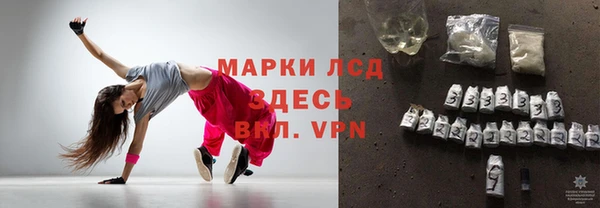 PSILOCYBIN Липки