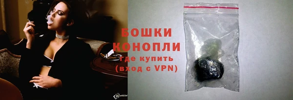 PSILOCYBIN Липки
