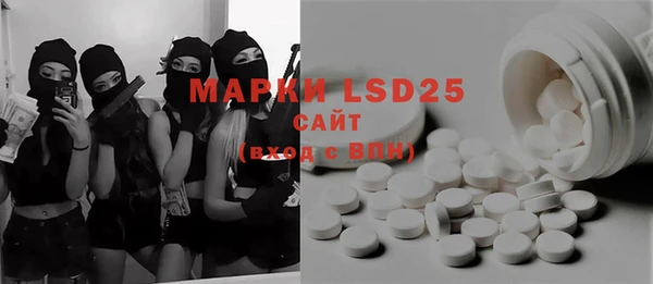 PSILOCYBIN Липки