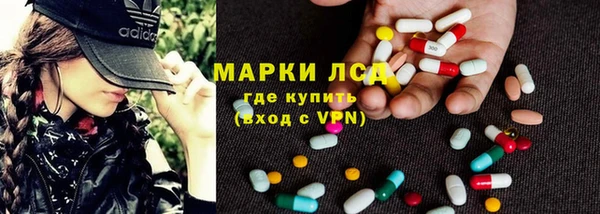 PSILOCYBIN Липки