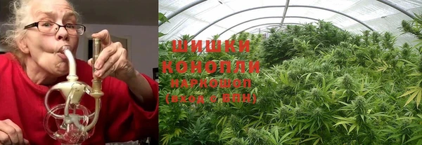 PSILOCYBIN Липки