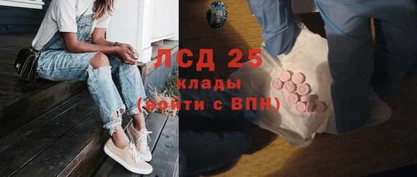 PSILOCYBIN Липки