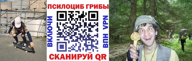 Псилоцибиновые грибы прущие грибы  Сокол 